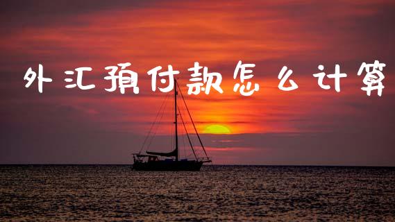 外汇预付款怎么计算_https://wap.lxcailiao.com_财务管理_第1张