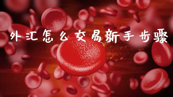 外汇怎么交易新手步骤_https://wap.lxcailiao.com_财务管理_第1张