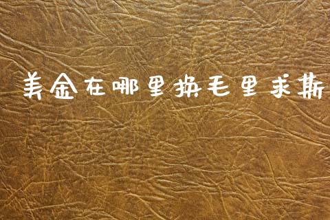 美金在哪里换毛里求斯_https://wap.lxcailiao.com_金融监管_第1张