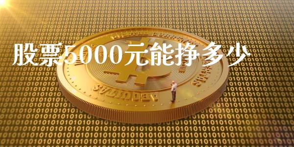 股票5000元能挣多少_https://wap.lxcailiao.com_股权投资_第1张