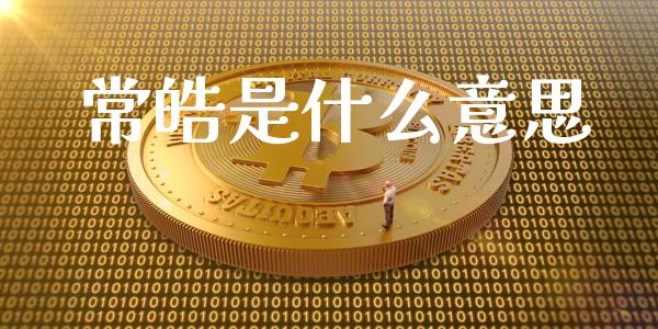 常皓是什么意思_https://wap.lxcailiao.com_财务管理_第1张