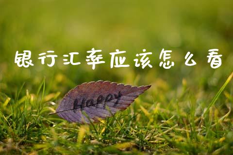 银行汇率应该怎么看_https://wap.lxcailiao.com_金融监管_第1张