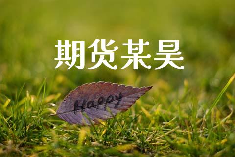 期货某昊_https://wap.lxcailiao.com_融资担保_第1张
