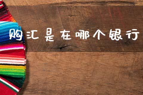 购汇是在哪个银行_https://wap.lxcailiao.com_股权投资_第1张