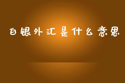 白银外汇是什么意思_https://wap.lxcailiao.com_融资担保_第1张