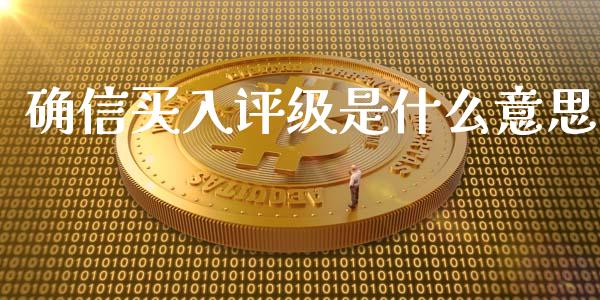 确信买入评级是什么意思_https://wap.lxcailiao.com_财务管理_第1张