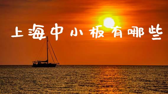 上海中小板有哪些_https://wap.lxcailiao.com_股权投资_第1张