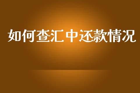 如何查汇中还款情况_https://wap.lxcailiao.com_金融监管_第1张