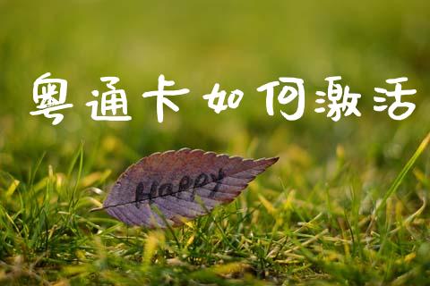 粤通卡如何激活_https://wap.lxcailiao.com_股权投资_第1张