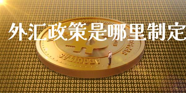 外汇政策是哪里制定_https://wap.lxcailiao.com_财务管理_第1张