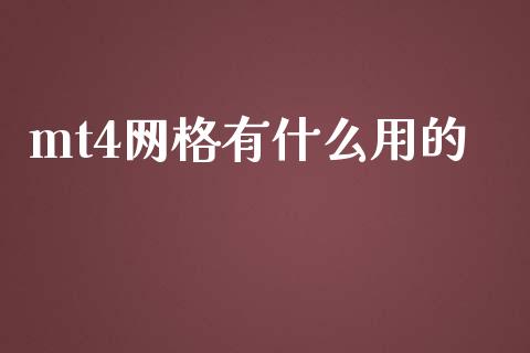 mt4网格有什么用的_https://wap.lxcailiao.com_金融监管_第1张