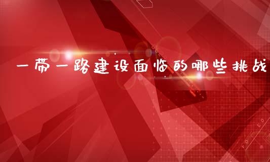 一带一路建设面临的哪些挑战_https://wap.lxcailiao.com_财务管理_第1张