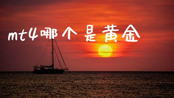 mt4哪个是黄金_https://wap.lxcailiao.com_融资担保_第1张