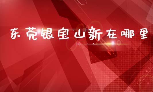 东莞银宝山新在哪里_https://wap.lxcailiao.com_融资担保_第1张
