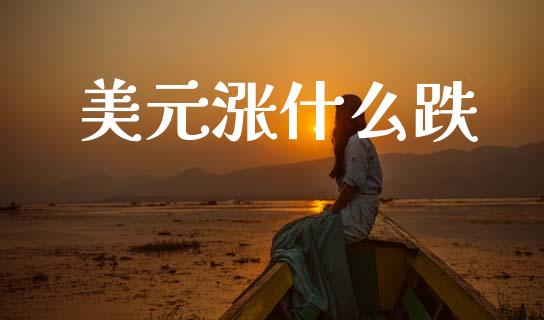 美元涨什么跌_https://wap.lxcailiao.com_股权投资_第1张