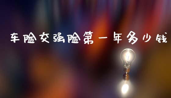 车险交强险第一年多少钱_https://wap.lxcailiao.com_财务管理_第1张