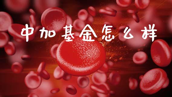 中加基金怎么样_https://wap.lxcailiao.com_融资担保_第1张