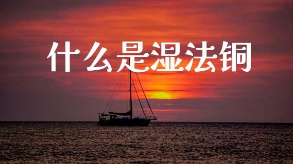 什么是湿法铜_https://wap.lxcailiao.com_融资担保_第1张