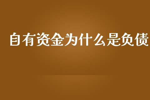 自有资金为什么是负债_https://wap.lxcailiao.com_股权投资_第1张