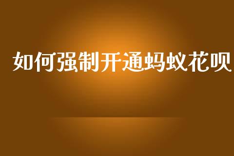 如何强制开通蚂蚁花呗_https://wap.lxcailiao.com_财务管理_第1张