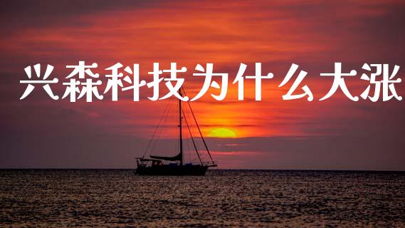 兴森科技为什么大涨_https://wap.lxcailiao.com_财务管理_第1张