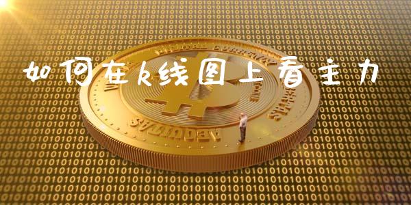 如何在k线图上看主力_https://wap.lxcailiao.com_金融监管_第1张