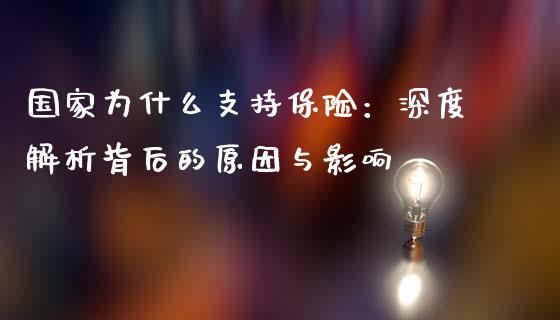 国家为什么支持保险：深度解析背后的原因与影响_https://wap.lxcailiao.com_融资担保_第1张