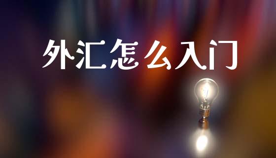 外汇怎么入门_https://wap.lxcailiao.com_融资担保_第1张