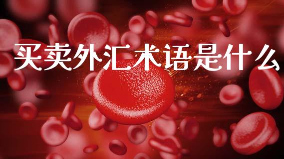 买卖外汇术语是什么_https://wap.lxcailiao.com_融资担保_第1张