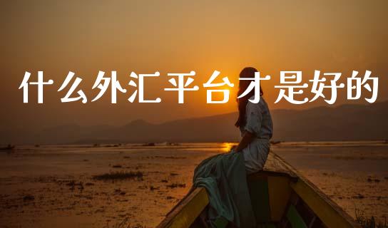 什么外汇平台才是好的_https://wap.lxcailiao.com_金融监管_第1张
