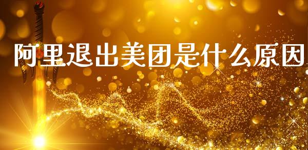 阿里退出美团是什么原因_https://wap.lxcailiao.com_财务管理_第1张