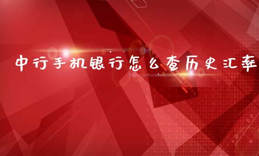 中行手机银行怎么查历史汇率_https://wap.lxcailiao.com_金融监管_第1张