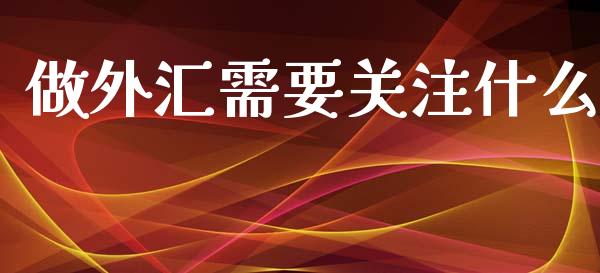 做外汇需要关注什么_https://wap.lxcailiao.com_财务管理_第1张