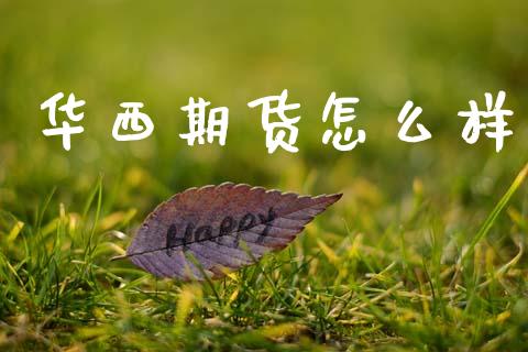 华西期货怎么样_https://wap.lxcailiao.com_融资担保_第1张