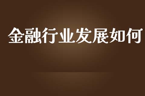 金融行业发展如何_https://wap.lxcailiao.com_融资担保_第1张