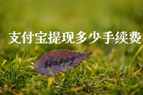 支付宝提现多少手续费_https://wap.lxcailiao.com_股权投资_第1张