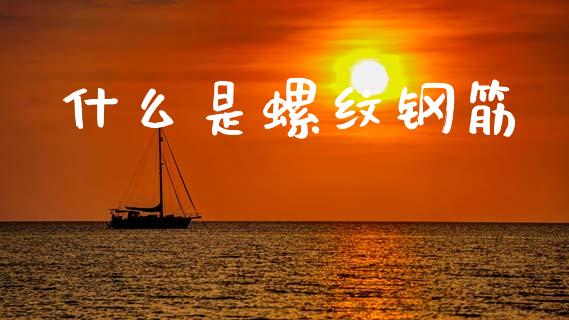 什么是螺纹钢筋_https://wap.lxcailiao.com_股权投资_第1张