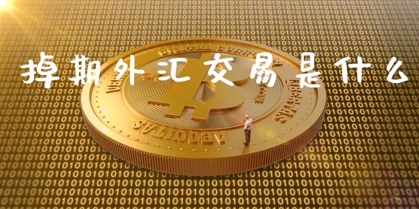 掉期外汇交易是什么_https://wap.lxcailiao.com_金融监管_第1张
