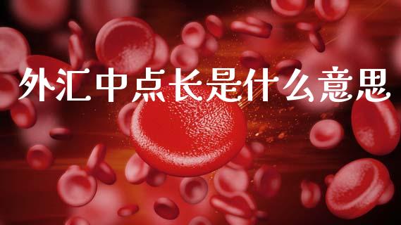 外汇中点长是什么意思_https://wap.lxcailiao.com_股权投资_第1张