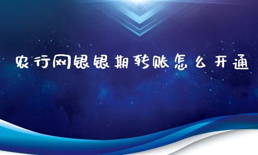 农行网银银期转账怎么开通_https://wap.lxcailiao.com_财务管理_第1张