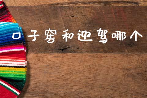 口子窖和迎驾哪个_https://wap.lxcailiao.com_财务管理_第1张