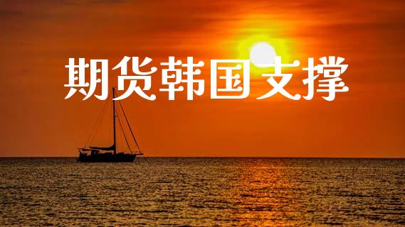 期货韩国支撑_https://wap.lxcailiao.com_股权投资_第1张