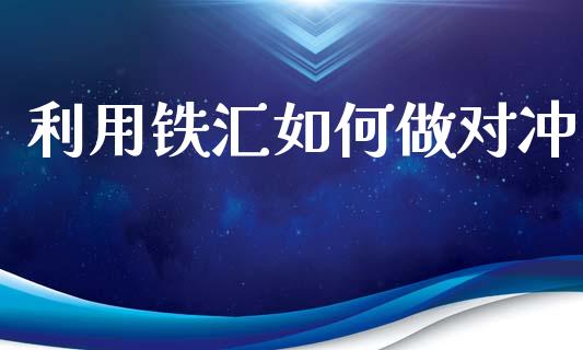 利用铁汇如何做对冲_https://wap.lxcailiao.com_财务管理_第1张