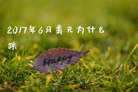 2017年6月美元为什么跌_https://wap.lxcailiao.com_股权投资_第1张