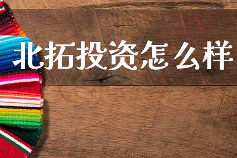 北拓投资怎么样_https://wap.lxcailiao.com_融资担保_第1张