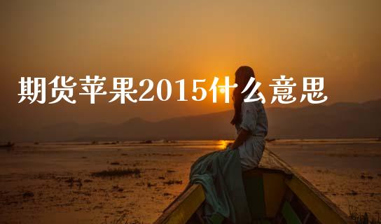 期货苹果2015什么意思_融资担保_第1张_金融监管_融资担保_财务管理_股权投资 期货苹果2015什么意思_https://wap.lxcailiao.com_融资担保_第1张