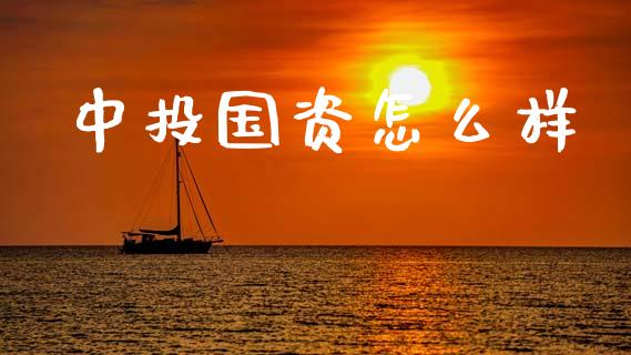中投国资怎么样_https://wap.lxcailiao.com_金融监管_第1张
