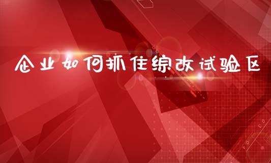 企业如何抓住综改试验区_https://wap.lxcailiao.com_股权投资_第1张