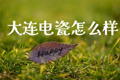 大连电瓷怎么样_https://wap.lxcailiao.com_融资担保_第1张