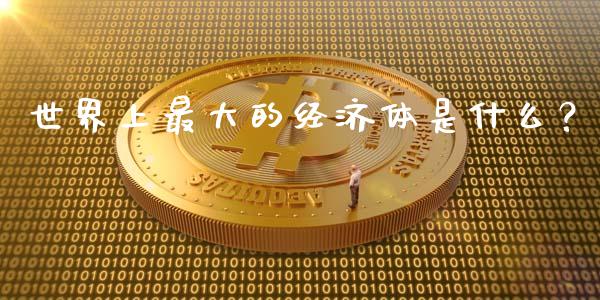 世界上最大的经济体是什么？_https://wap.lxcailiao.com_财务管理_第1张
